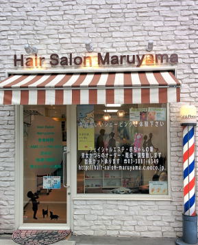 �X���C���[�W